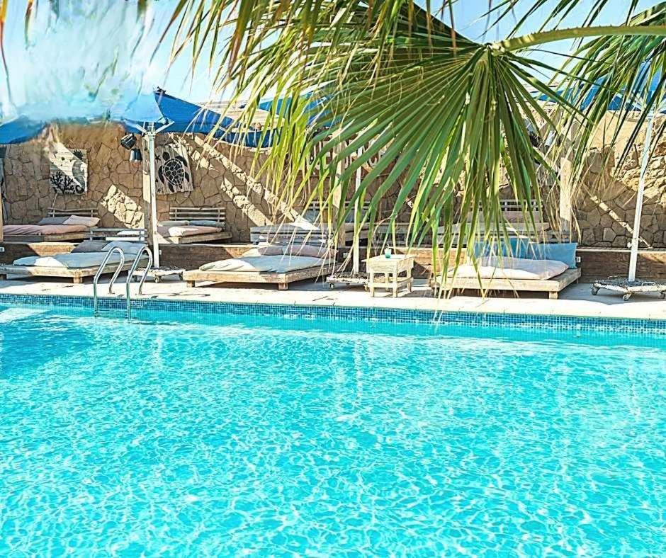 Comfort Marine Apartment *